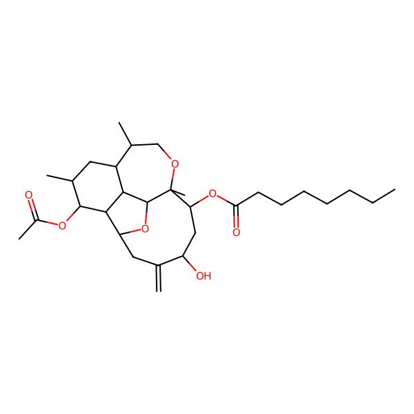 2D Structure of Asbestinin 13
