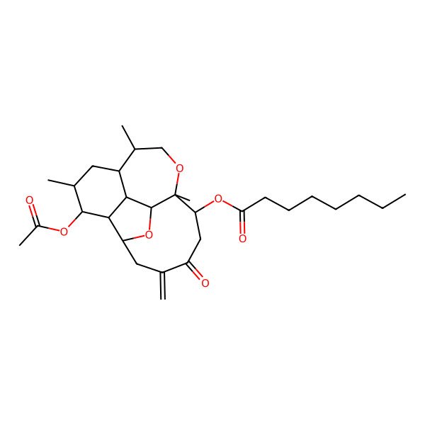 2D Structure of Asbestinin 16