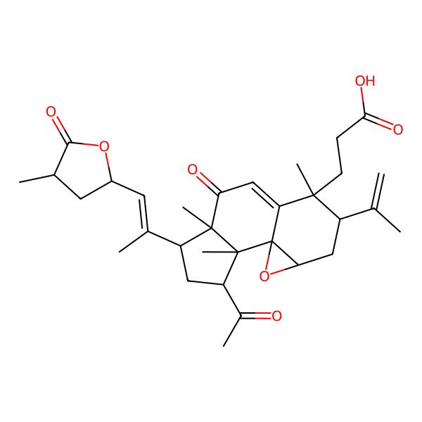 2D Structure of 3-[(1R,2R,3S,5R,6R,10S,11S,13R)-3-acetyl-2,6,10-trimethyl-5-[(Z)-1-[(2R,4R)-4-methyl-5-oxooxolan-2-yl]prop-1-en-2-yl]-7-oxo-11-prop-1-en-2-yl-14-oxatetracyclo[7.5.0.01,13.02,6]tetradec-8-en-10-yl]propanoic acid