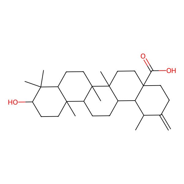 2D Structure of 10-Hydroxy-1,6a,6b,9,9,12a-hexamethyl-2-methylidene-1,3,4,5,6,6a,7,8,8a,10,11,12,13,14,14a,14b-hexadecahydropicene-4a-carboxylic acid
