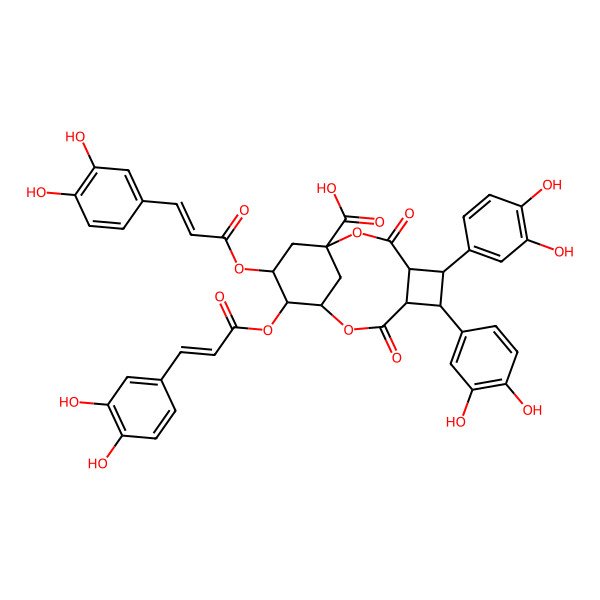 2D Structure of (1R,4S,5S,6S,7R,10R,11S,12R)-5,6-bis(3,4-dihydroxyphenyl)-11,12-bis[[(E)-3-(3,4-dihydroxyphenyl)prop-2-enoyl]oxy]-3,8-dioxo-2,9-dioxatricyclo[8.3.1.04,7]tetradecane-1-carboxylic acid