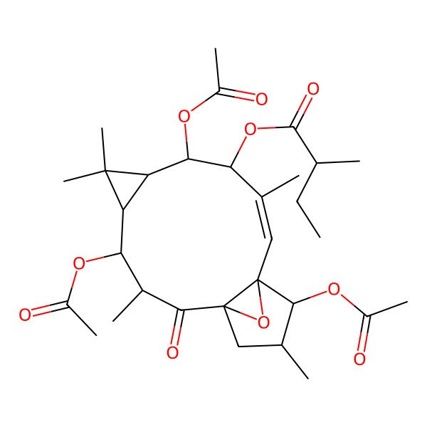 2D Structure of [(1R,3R,4R,5R,7S,8S,9R,10E,12S,13S,14R)-4,8,13-triacetyloxy-3,6,6,10,14-pentamethyl-2-oxo-16-oxatetracyclo[10.3.1.01,12.05,7]hexadec-10-en-9-yl] (2R)-2-methylbutanoate