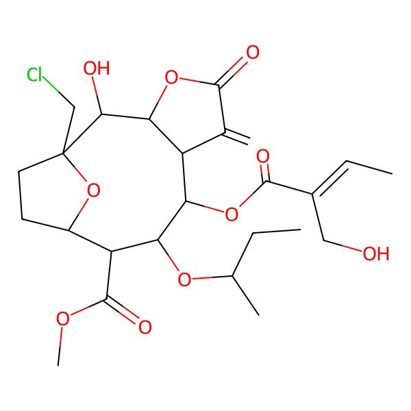 2D Structure of methyl (1S,2R,3S,7S,8S,9S,10S,11R)-9-[(2S)-butan-2-yl]oxy-1-(chloromethyl)-2-hydroxy-8-[(E)-2-(hydroxymethyl)but-2-enoyl]oxy-6-methylidene-5-oxo-4,14-dioxatricyclo[9.2.1.03,7]tetradecane-10-carboxylate