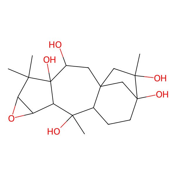 2D Structure of (1R,3R,4R,6R,8S,9S,10R,11R,14S,15R)-5,5,10,15-tetramethyl-7-oxapentacyclo[12.2.1.01,11.04,9.06,8]heptadecane-3,4,10,14,15-pentol