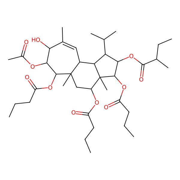 2D Structure of [(1R,2R,3R,3aR,4S,5aR,6S,7S,8S,10aS,10bR)-7-acetyloxy-3,4,6-tri(butanoyloxy)-8-hydroxy-3a,5a,9-trimethyl-1-propan-2-yl-1,2,3,4,5,6,7,8,10a,10b-decahydrocyclohepta[e]inden-2-yl] (2R)-2-methylbutanoate