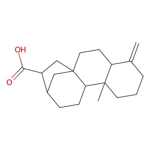 2D Structure of (1S,4R,9R,10R,13R,14S)-9-methyl-5-methylidenetetracyclo[11.2.1.01,10.04,9]hexadecane-14-carboxylic acid