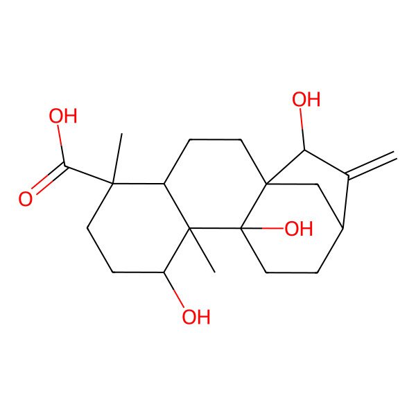 2D Structure of (1S,4S,5R,8R,9S,10S,13R,15R)-8,10,15-trihydroxy-5,9-dimethyl-14-methylidenetetracyclo[11.2.1.01,10.04,9]hexadecane-5-carboxylic acid