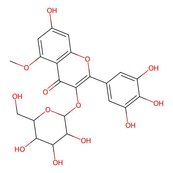 2D Structure of 7-hydroxy-5-methoxy-3-[(2S,3S,4R,5S,6R)-3,4,5-trihydroxy-6-(hydroxymethyl)oxan-2-yl]oxy-2-(3,4,5-trihydroxyphenyl)chromen-4-one