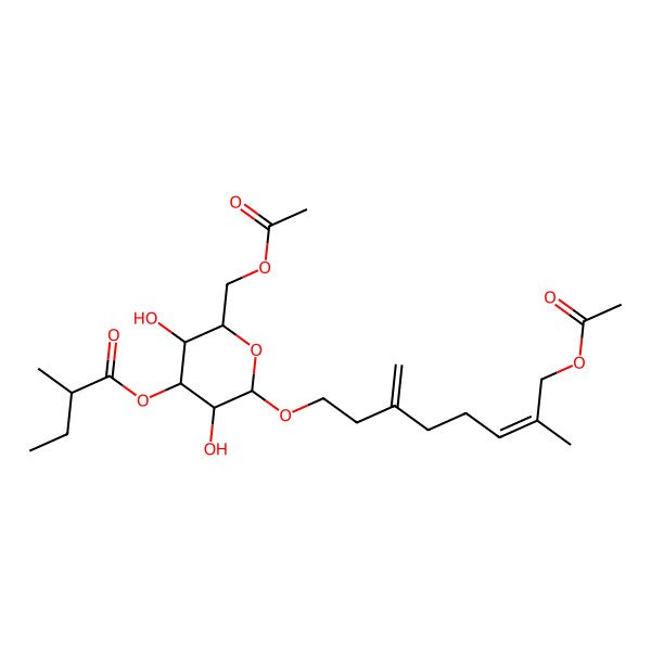 2D Structure of [2-(Acetyloxymethyl)-6-(8-acetyloxy-7-methyl-3-methylideneoct-6-enoxy)-3,5-dihydroxyoxan-4-yl] 2-methylbutanoate