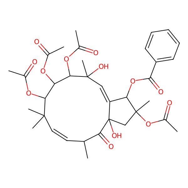 2D Structure of [(1S,2S,3aS,5R,6E,9R,10S,11S,12S,13E)-2,9,10,11-tetraacetyloxy-3a,12-dihydroxy-2,5,8,8,12-pentamethyl-4-oxo-1,3,5,9,10,11-hexahydrocyclopenta[12]annulen-1-yl] benzoate