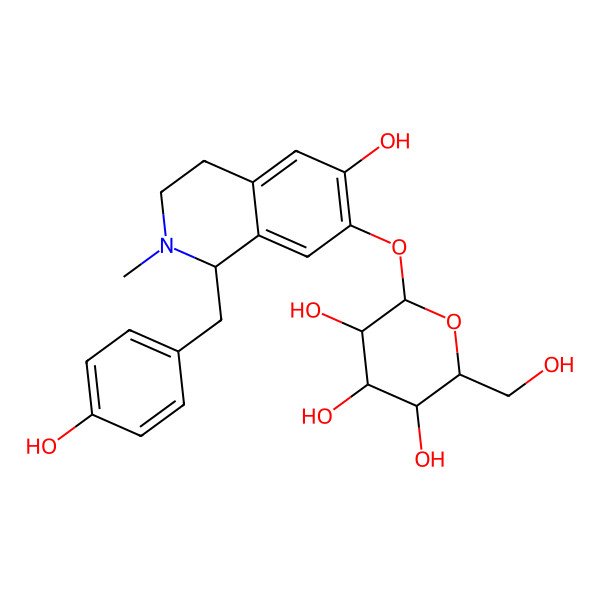 2D Structure of 2-[[6-hydroxy-1-[(4-hydroxyphenyl)methyl]-2-methyl-3,4-dihydro-1H-isoquinolin-7-yl]oxy]-6-(hydroxymethyl)oxane-3,4,5-triol