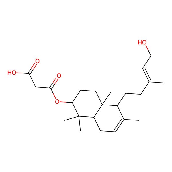 2D Structure of 3-[[(2S,4aR,5R,8aS)-5-[(E)-5-hydroxy-3-methylpent-3-enyl]-1,1,4a,6-tetramethyl-2,3,4,5,8,8a-hexahydronaphthalen-2-yl]oxy]-3-oxopropanoic acid