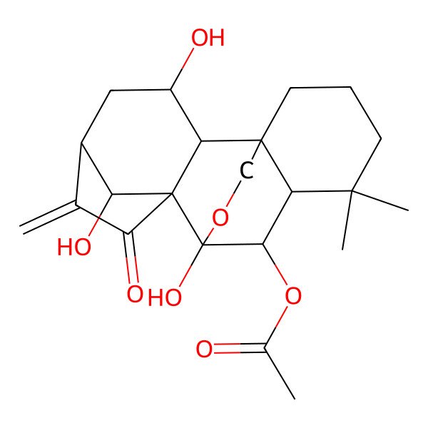2D Structure of (3,9,18-Trihydroxy-12,12-dimethyl-6-methylidene-7-oxo-17-oxapentacyclo[7.6.2.15,8.01,11.02,8]octadecan-10-yl) acetate