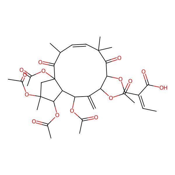2D Structure of (Z)-2-[[(1R,2R,3aR,5S,6E,10R,11S,13R,13aS)-1,2,3a,11,13-pentaacetyloxy-2,5,8,8-tetramethyl-12-methylidene-4,9-dioxo-3,5,10,11,13,13a-hexahydro-1H-cyclopenta[12]annulen-10-yl]oxymethyl]but-2-enoic acid