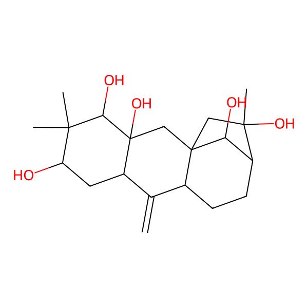 2D Structure of (2S,10aalpha,11aalpha,12R)-Tetradecahydro-3,3,7-trimethyl-11-methylene-5abeta,8beta-methano-5aH-cyclohepta[b]naphthalene-2alpha,4alpha,4abeta,7beta,12-pentol