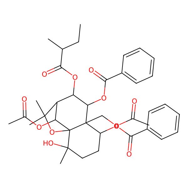 2D Structure of [12-Acetyloxy-6-(acetyloxymethyl)-7-benzoyloxy-2-hydroxy-2,10,10-trimethyl-8-(2-methylbutanoyloxy)-11-oxatricyclo[7.2.1.01,6]dodecan-5-yl] benzoate