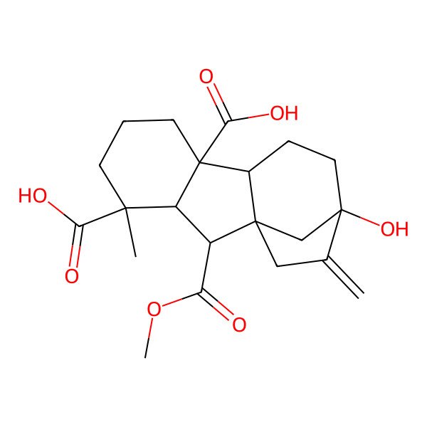 2D Structure of 12-Hydroxy-2-methoxycarbonyl-4-methyl-13-methylidenetetracyclo[10.2.1.01,9.03,8]pentadecane-4,8-dicarboxylic acid