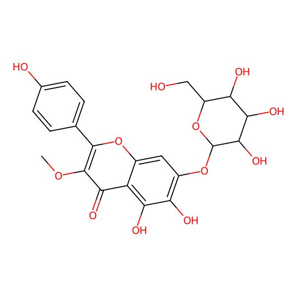2D Structure of 5,6-dihydroxy-2-(4-hydroxyphenyl)-3-methoxy-7-[(2S,3R,4S,5S,6R)-3,4,5-trihydroxy-6-(hydroxymethyl)oxan-2-yl]oxychromen-4-one