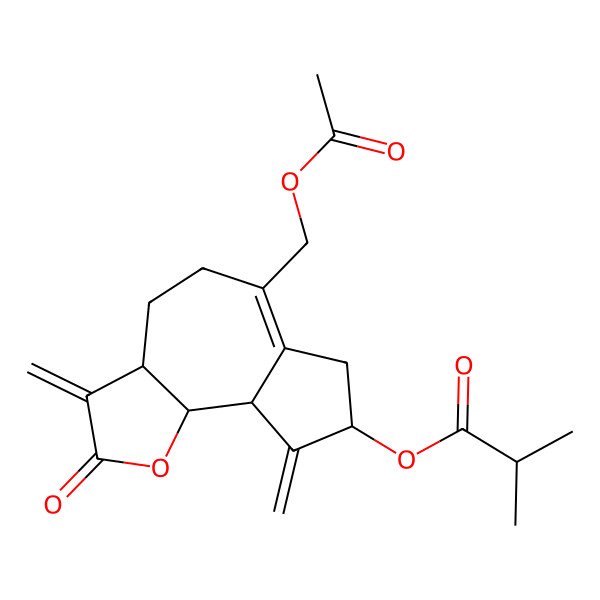 2D Structure of [(3aS,8S,9aR,9bS)-6-(acetyloxymethyl)-3,9-dimethylidene-2-oxo-4,5,7,8,9a,9b-hexahydro-3aH-azuleno[4,5-b]furan-8-yl] 2-methylpropanoate