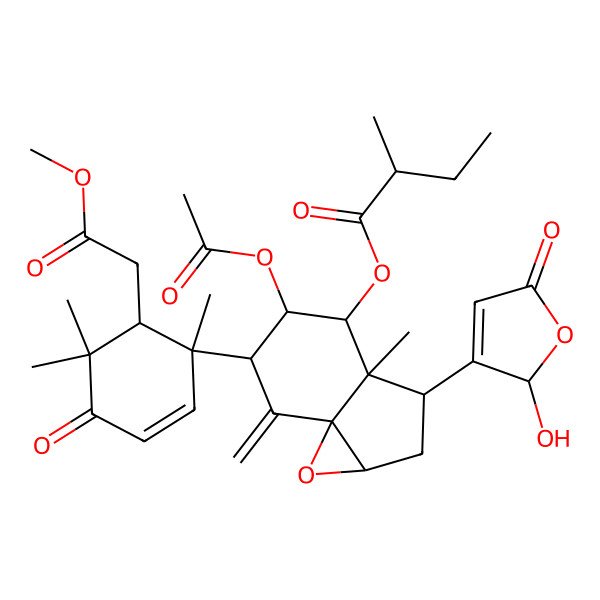 2D Structure of [5-acetyloxy-3-(2-hydroxy-5-oxo-2H-furan-3-yl)-6-[6-(2-methoxy-2-oxoethyl)-1,5,5-trimethyl-4-oxocyclohex-2-en-1-yl]-3a-methyl-7-methylidene-1a,2,3,4,5,6-hexahydroindeno[1,7a-b]oxiren-4-yl] 2-methylbutanoate