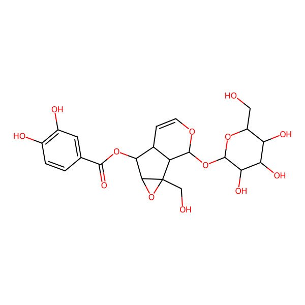 2D Structure of [(1S,2S,4S,5S,6S,10S)-2-(hydroxymethyl)-10-[(2S,3S,4R,5S,6S)-3,4,5-trihydroxy-6-(hydroxymethyl)oxan-2-yl]oxy-3,9-dioxatricyclo[4.4.0.02,4]dec-7-en-5-yl] 3,4-dihydroxybenzoate