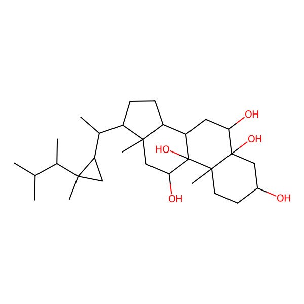 2D Structure of (3S,5R,6R,8S,9R,10S,11R,13R,14S,17R)-10,13-dimethyl-17-[(1S)-1-[(1R,2R)-2-methyl-2-[(2R)-3-methylbutan-2-yl]cyclopropyl]ethyl]-2,3,4,6,7,8,11,12,14,15,16,17-dodecahydro-1H-cyclopenta[a]phenanthrene-3,5,6,9,11-pentol