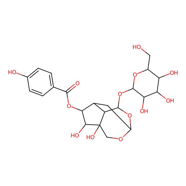2D Structure of [4,5-Dihydroxy-9-[3,4,5-trihydroxy-6-(hydroxymethyl)oxan-2-yl]oxy-2,10-dioxatricyclo[5.3.1.04,8]undecan-6-yl] 4-hydroxybenzoate
