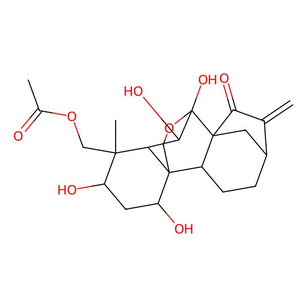 2D Structure of (9,10,13,15-Tetrahydroxy-12-methyl-6-methylidene-7-oxo-17-oxapentacyclo[7.6.2.15,8.01,11.02,8]octadecan-12-yl)methyl acetate