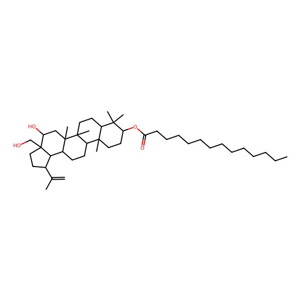 2D Structure of [(1R,3aS,4S,5aR,5bR,7aR,9S,11aR,11bR,13aS,13bR)-4-hydroxy-3a-(hydroxymethyl)-5a,5b,8,8,11a-pentamethyl-1-prop-1-en-2-yl-1,2,3,4,5,6,7,7a,9,10,11,11b,12,13,13a,13b-hexadecahydrocyclopenta[a]chrysen-9-yl] tetradecanoate