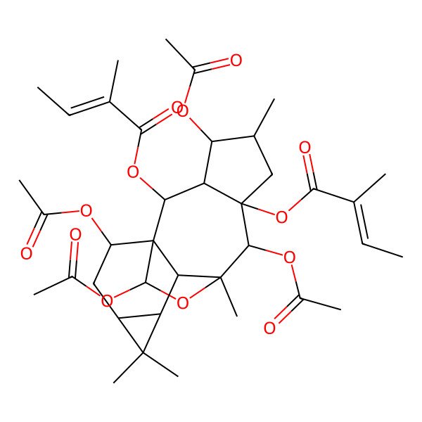 2D Structure of [4,8,15,16-Tetraacetyloxy-5,9,12,12-tetramethyl-7-(2-methylbut-2-enoyloxy)-17-oxapentacyclo[7.6.2.01,10.03,7.011,13]heptadecan-2-yl] 2-methylbut-2-enoate