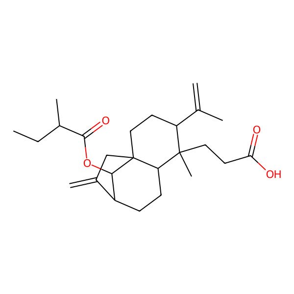 2D Structure of 3-[(1S,4R,5R,6S,9S,12R)-5-methyl-12-[(2R)-2-methylbutanoyl]oxy-10-methylidene-4-prop-1-en-2-yl-5-tricyclo[7.2.1.01,6]dodecanyl]propanoic acid