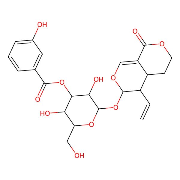 2D Structure of [2-[(4-ethenyl-8-oxo-4,4a,5,6-tetrahydro-3H-pyrano[3,4-c]pyran-3-yl)oxy]-3,5-dihydroxy-6-(hydroxymethyl)oxan-4-yl] 3-hydroxybenzoate