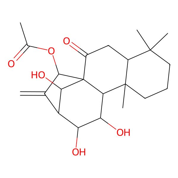 2D Structure of [(1R,4S,9S,10R,11R,12R,13S,15R,16R)-11,12,16-trihydroxy-5,5,9-trimethyl-14-methylidene-2-oxo-15-tetracyclo[11.2.1.01,10.04,9]hexadecanyl] acetate