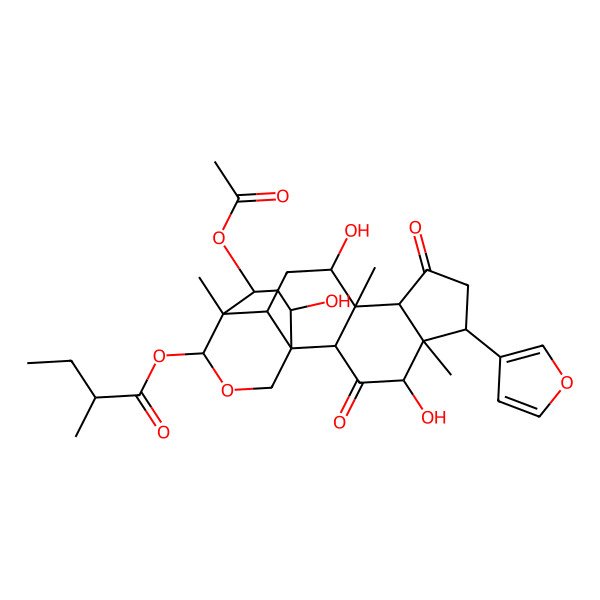 2D Structure of [(1S,2S,4R,5S,6S,9R,10S,11R,13R,14R,15S,18S,20R)-20-acetyloxy-6-(furan-3-yl)-4,11,18-trihydroxy-5,10,14-trimethyl-3,8-dioxo-16-oxapentacyclo[12.3.3.01,13.02,10.05,9]icosan-15-yl] (2S)-2-methylbutanoate