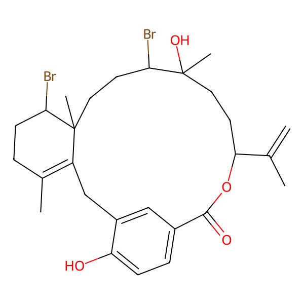 2D Structure of (7S,8S,11R,12S,15S)-7,11-dibromo-12,21-dihydroxy-4,8,12-trimethyl-15-prop-1-en-2-yl-16-oxatricyclo[16.3.1.03,8]docosa-1(21),3,18(22),19-tetraen-17-one