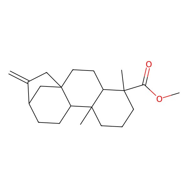 2D Structure of methyl (1S,4S,5S,9S,10R,13R)-5,9-dimethyl-14-methylidenetetracyclo[11.2.1.01,10.04,9]hexadecane-5-carboxylate