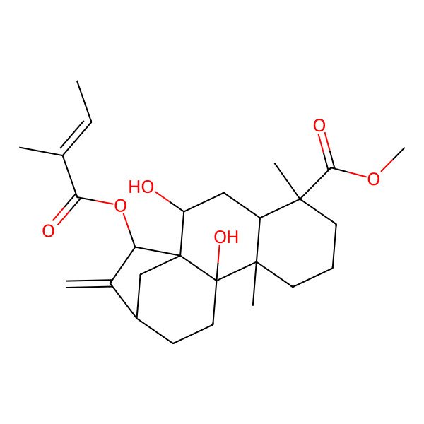 2D Structure of Methyl 2,10-dihydroxy-5,9-dimethyl-15-(2-methylbut-2-enoyloxy)-14-methylidenetetracyclo[11.2.1.01,10.04,9]hexadecane-5-carboxylate