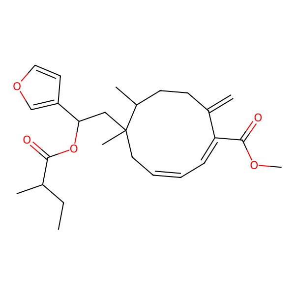 2D Structure of methyl (1E,3Z,6S,7R)-6-[(2R)-2-(furan-3-yl)-2-[(2R)-2-methylbutanoyl]oxyethyl]-6,7-dimethyl-10-methylidenecyclodeca-1,3-diene-1-carboxylate