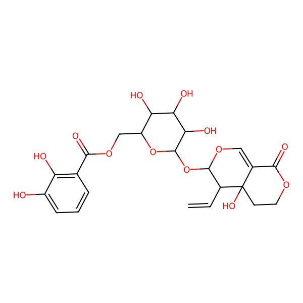 2D Structure of [6-[(4-Ethenyl-4a-hydroxy-8-oxo-3,4,5,6-tetrahydropyrano[3,4-c]pyran-3-yl)oxy]-3,4,5-trihydroxyoxan-2-yl]methyl 2,3-dihydroxybenzoate