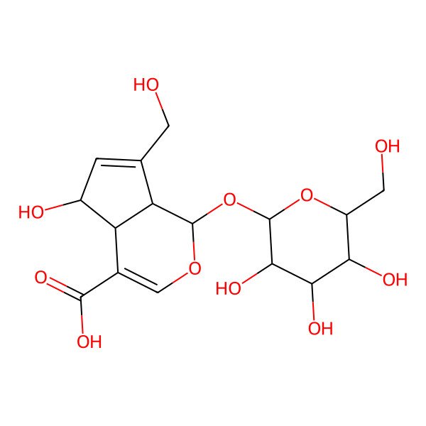 2D Structure of (1S,4aS,5S,7aS)-5-hydroxy-7-(hydroxymethyl)-1-[(2S,3S,4S,5S,6R)-3,4,5-trihydroxy-6-(hydroxymethyl)oxan-2-yl]oxy-1,4a,5,7a-tetrahydrocyclopenta[c]pyran-4-carboxylic acid