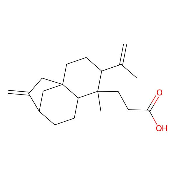2D Structure of 3-[(1S,4R,5R,6R,9R)-5-methyl-10-methylidene-4-prop-1-en-2-yl-5-tricyclo[7.2.1.01,6]dodecanyl]propanoic acid