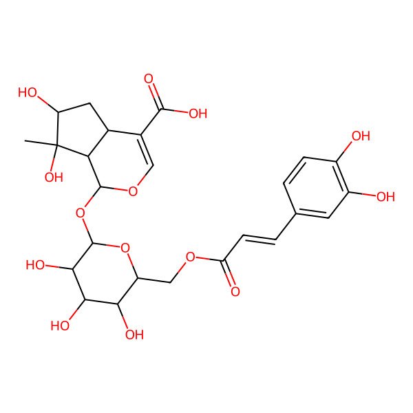 2D Structure of (1S,4aS,6S,7R,7aS)-1-[[6-O-[(2E)-3-(3,4-Dihydroxyphenyl)-1-oxo-2-propen-1-yl]-I(2)-D-glucopyranosyl]oxy]-1,4a,5,6,7,7a-hexahydro-6,7-dihydroxy-7-methylcyclopenta[c]pyran-4-carboxylic acid