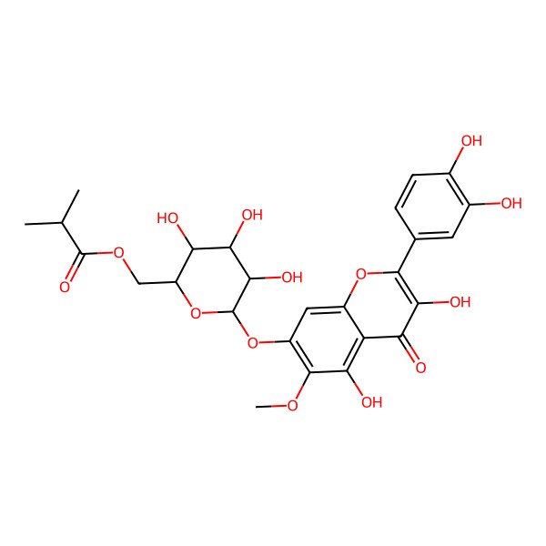 2D Structure of [6-[2-(3,4-Dihydroxyphenyl)-3,5-dihydroxy-6-methoxy-4-oxochromen-7-yl]oxy-3,4,5-trihydroxyoxan-2-yl]methyl 2-methylpropanoate