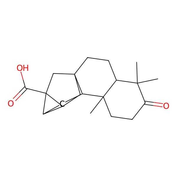 2D Structure of (1S,4R,9S,10R,12R,13S,14S)-5,5,9-trimethyl-6-oxopentacyclo[11.2.1.01,10.04,9.012,14]hexadecane-13-carboxylic acid