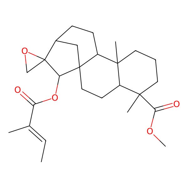 2D Structure of methyl (1'R,2R,4'S,5'R,9'S,10'S,13'R,15'S)-5',9'-dimethyl-15'-[(E)-2-methylbut-2-enoyl]oxyspiro[oxirane-2,14'-tetracyclo[11.2.1.01,10.04,9]hexadecane]-5'-carboxylate