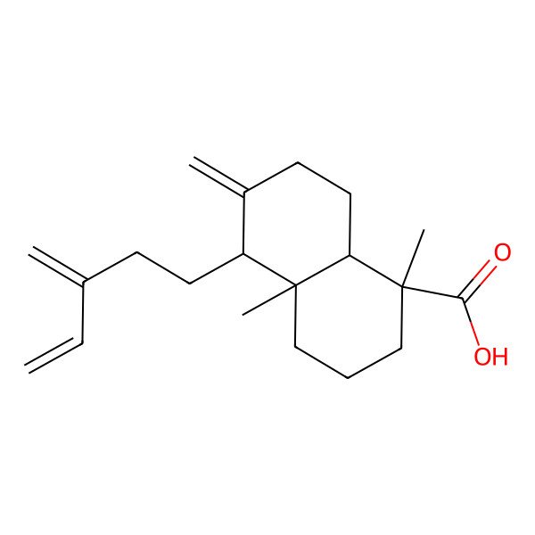 2D Structure of (1R,4aR,5R,8aS)-1,4a-dimethyl-6-methylidene-5-(3-methylidenepent-4-enyl)-3,4,5,7,8,8a-hexahydro-2H-naphthalene-1-carboxylic acid 2D Structure of (1R,4aR,5R,8aS)-1,4a-dimethyl-6-methylidene-5-(3-methylidenepent-4-enyl)-3,4,5,7,8,8a-hexahydro-2H-naphthalene-1-carboxylic acid