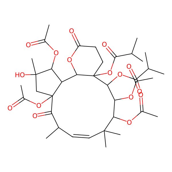 2D Structure of [(1R,2R,3R,4R,6R,8S,9E,12S,13S,14R,15S)-3,6,12,13-tetraacetyloxy-4-hydroxy-4,8,11,11-tetramethyl-15-(2-methylpropanoyloxy)-7,18-dioxo-19-oxatricyclo[13.4.0.02,6]nonadec-9-en-14-yl] 2-methylpropanoate