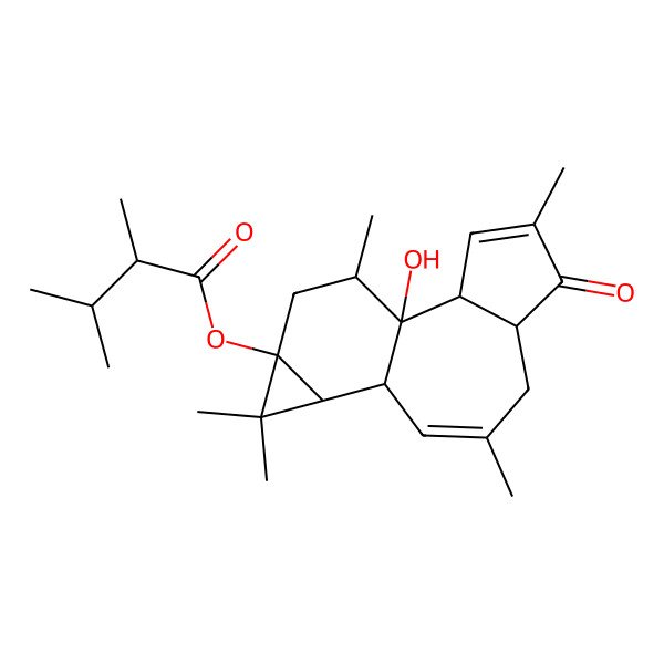 2D Structure of (1-Hydroxy-4,8,12,12,15-pentamethyl-5-oxo-13-tetracyclo[8.5.0.02,6.011,13]pentadeca-3,8-dienyl) 2,3-dimethylbutanoate