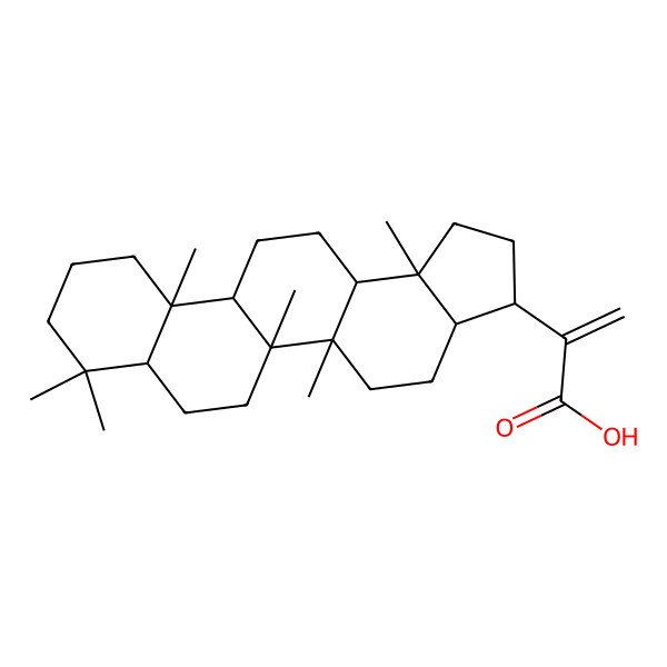 2D Structure of 2-(5a,5b,8,8,11a,13b-Hexamethyl-1,2,3,3a,4,5,6,7,7a,9,10,11,11b,12,13,13a-hexadecahydrocyclopenta[a]chrysen-3-yl)prop-2-enoic acid