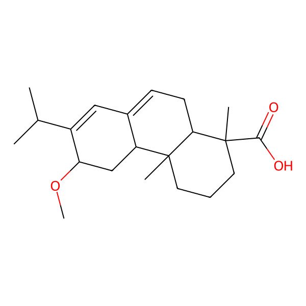 2D Structure of (1R,4aR,4bR,6S,10aS)-6-methoxy-1,4a-dimethyl-7-propan-2-yl-2,3,4,4b,5,6,10,10a-octahydrophenanthrene-1-carboxylic acid 2D Structure of (1R,4aR,4bR,6S,10aS)-6-methoxy-1,4a-dimethyl-7-propan-2-yl-2,3,4,4b,5,6,10,10a-octahydrophenanthrene-1-carboxylic acid